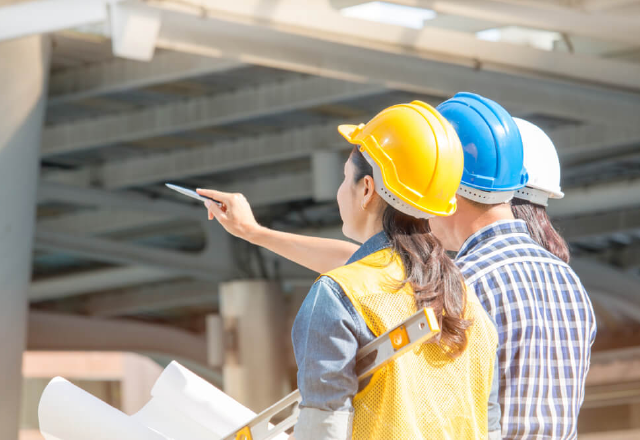 real estate consulting and development